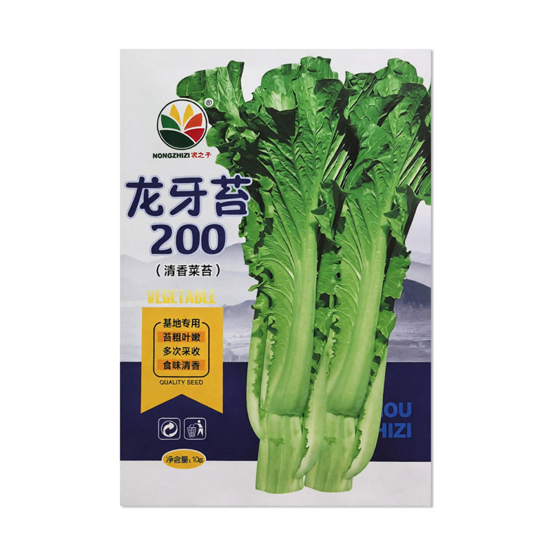 农之子龙牙苔200白菜苔种子