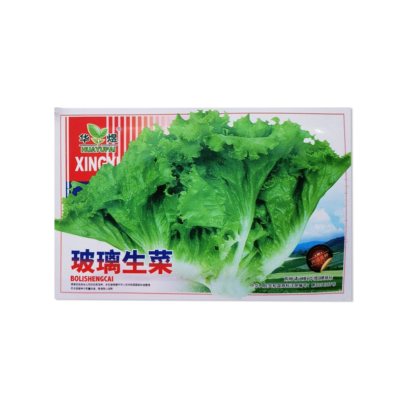 华煜玻璃生菜种子蔬菜种子