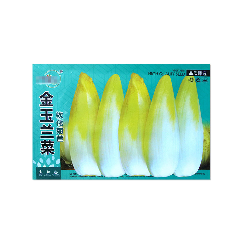中研盛优金玉兰菜种子