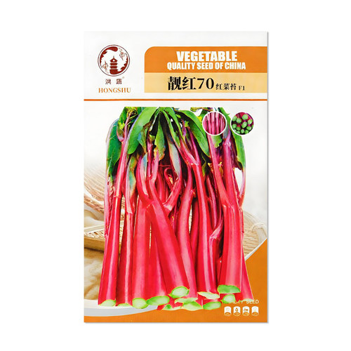 洪蔬靓红70红菜苔种子