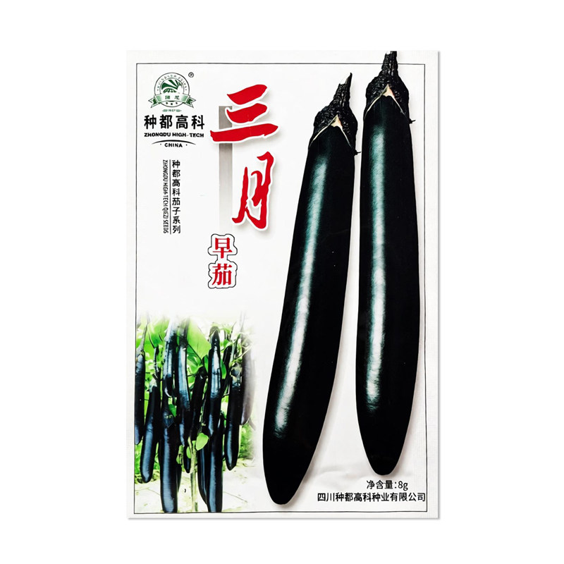 种都高科三月早茄子种子