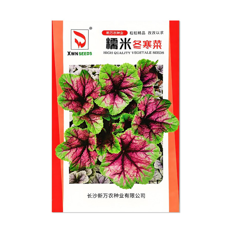 新万农糯米冬寒菜种子