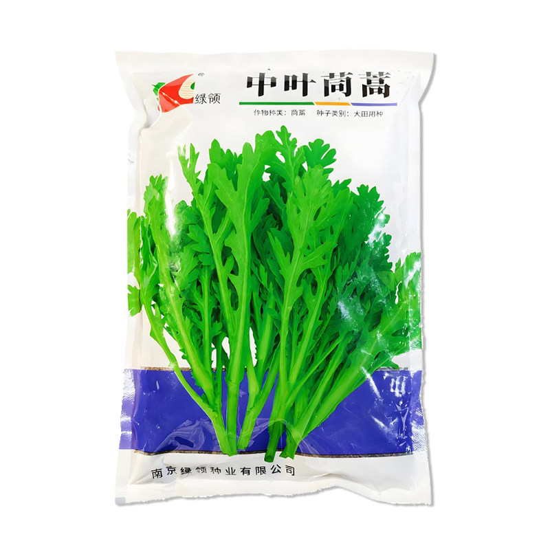 绿领中叶茼蒿种子蔬菜种子