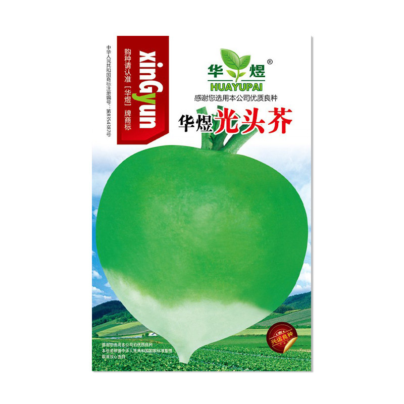 华煜光头芥种子辣疙瘩蔬菜种孑