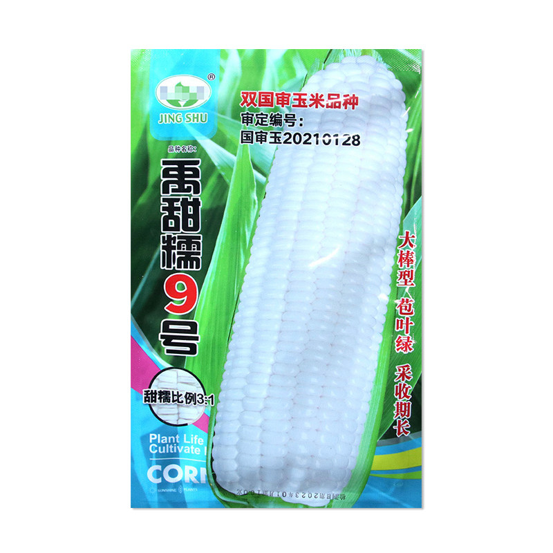 京蔬禹甜糯9号白玉米种子