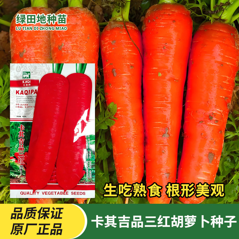 卡其吉品三红胡萝卜种子