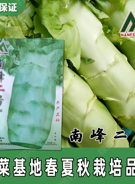 南峰二号莴笋种子青皮绿心绿色翠绿尖叶耐热四季秋播基地农家种植
