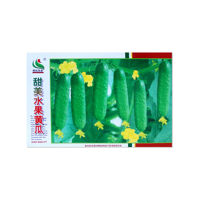 邵氏甜美水果黄瓜种子