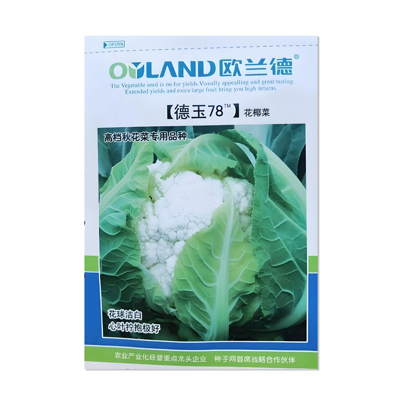 欧兰德德玉78花菜种子
