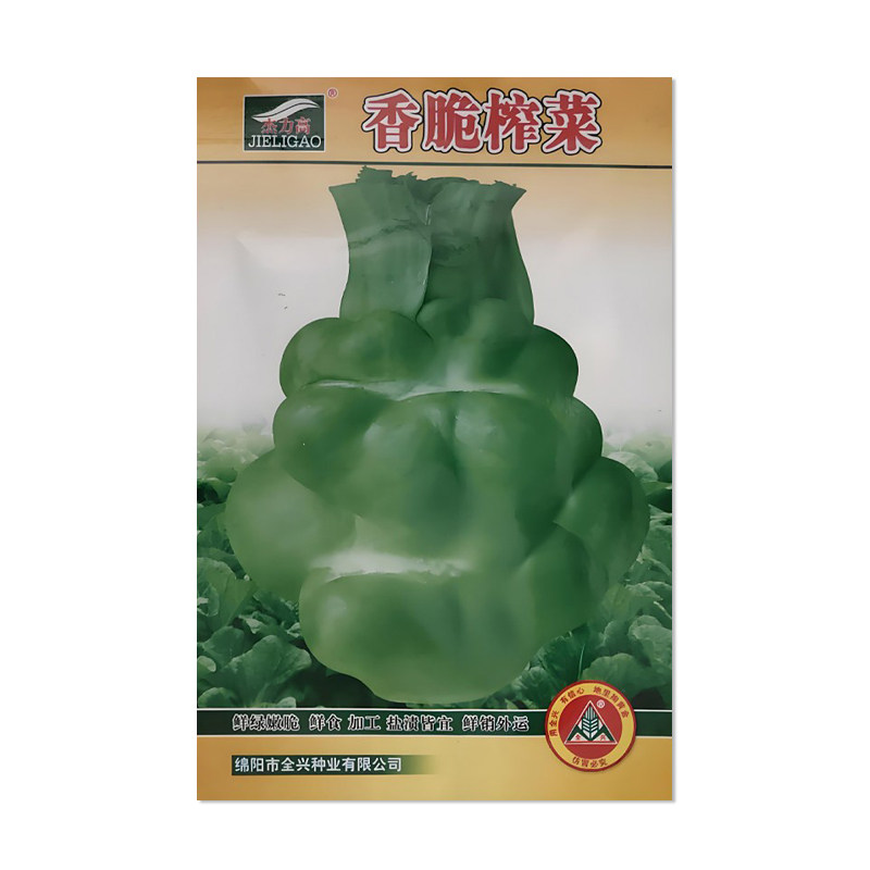 杰力高香脆榨菜种子芥菜种籽