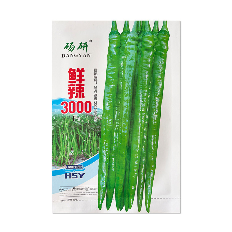 砀研鲜辣3000辣椒种子