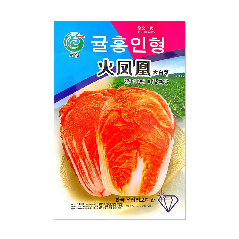 火凤凰大白菜种子白菜籽