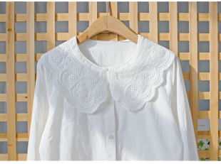 宽松内搭打底减龄纯棉衬衫 设计感长袖 新款 绣花娃娃领衬衣女春装