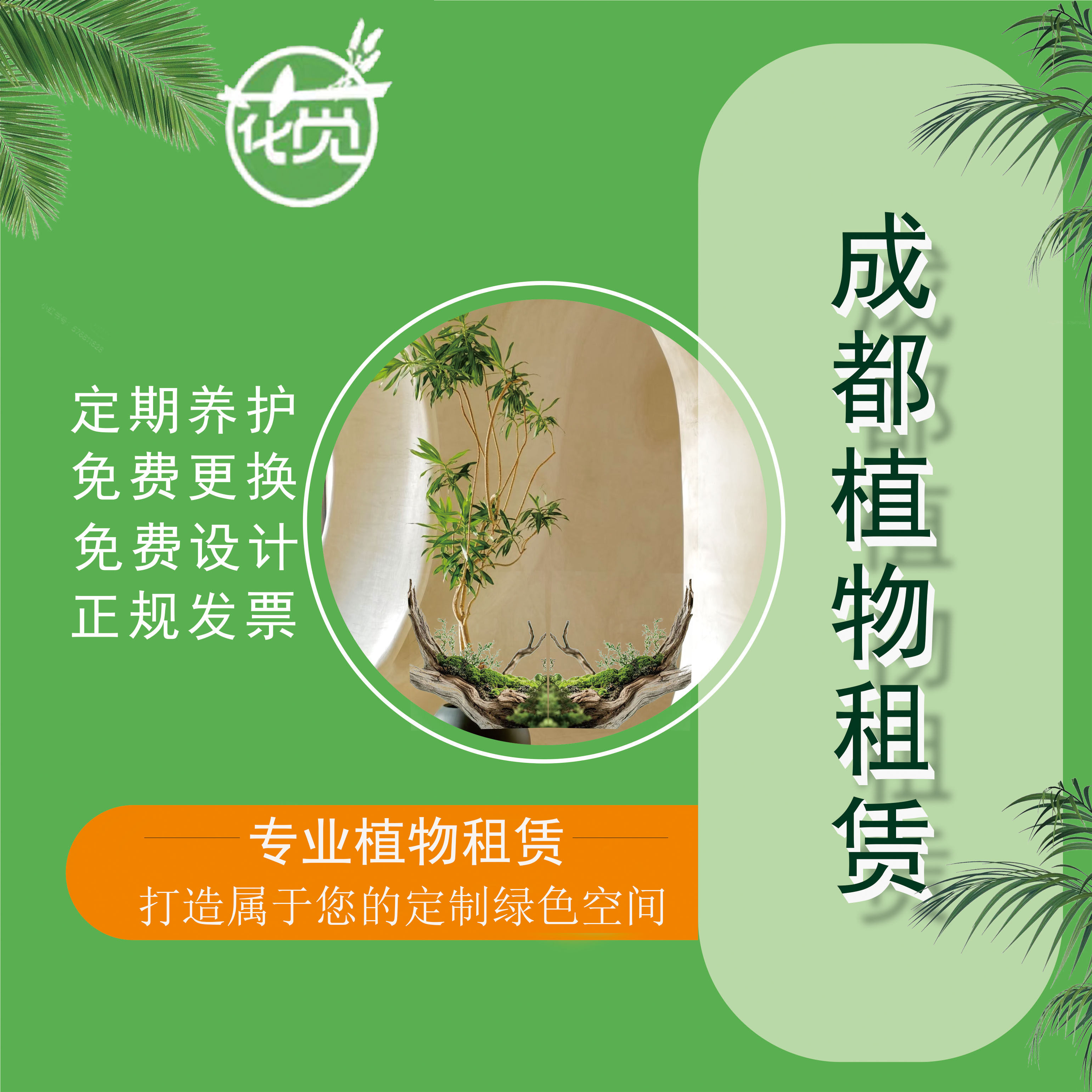 成都绿植租赁植物租摆植物造景设计免费上门摆放设计租植物