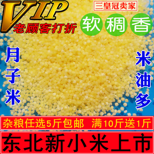 2025年新小米东北小米/黄小米/小米/农家小米/粥米/月子米/500克