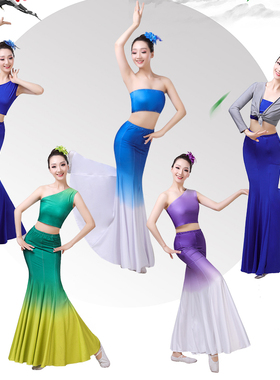 傣族舞蹈服装女成人舞台演出服练功舞裙长裙孔雀舞艺考表演服练习