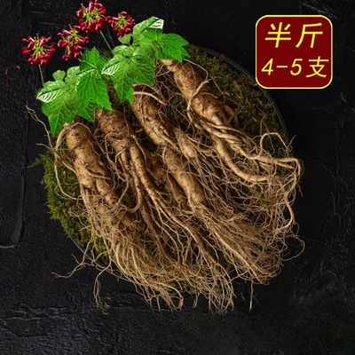 森美仁长白山人参鲜人参整枝鲜参