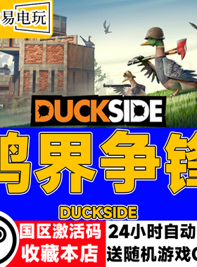 steam正版 鸭界争锋 DUCKSIDE 国区激活码 现货秒发 cdkey