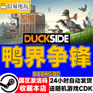 现货秒发 steam正版 国区激活码 DUCKSIDE cdkey 鸭界争锋