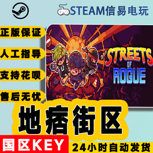steam正版 地痞街区 痞子街区 Streets of Rogue 国区激活码