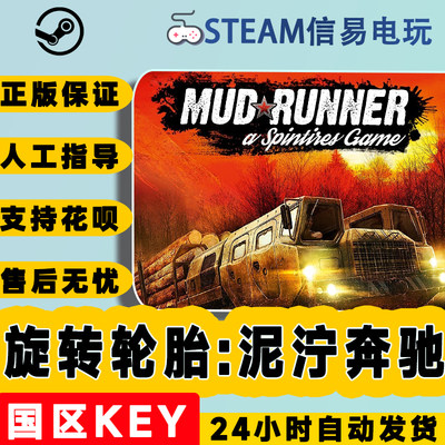 PC中文正版steam旋转轮胎激活码