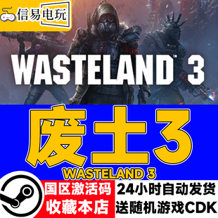 steam正版 废土3 Wasteland 3 国区激活码 现货秒发 cdkey