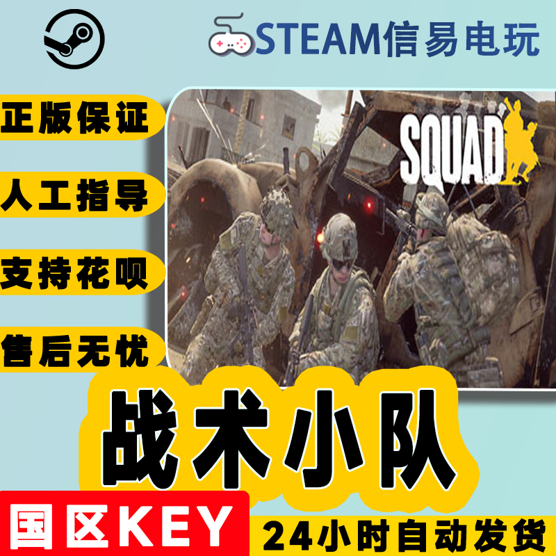 steam正版 战术小队 Squad 国区激活码 现货秒发 cdkey