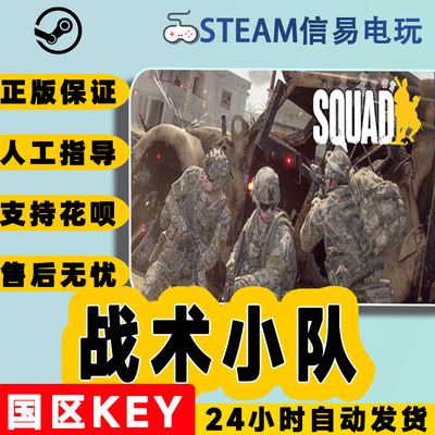 steam正版战术小队国区激活码