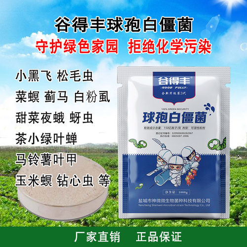 谷得丰球孢白僵菌 农用微生物菌剂小黑飞玉米螟蓟马蚜虫红蜘蛛