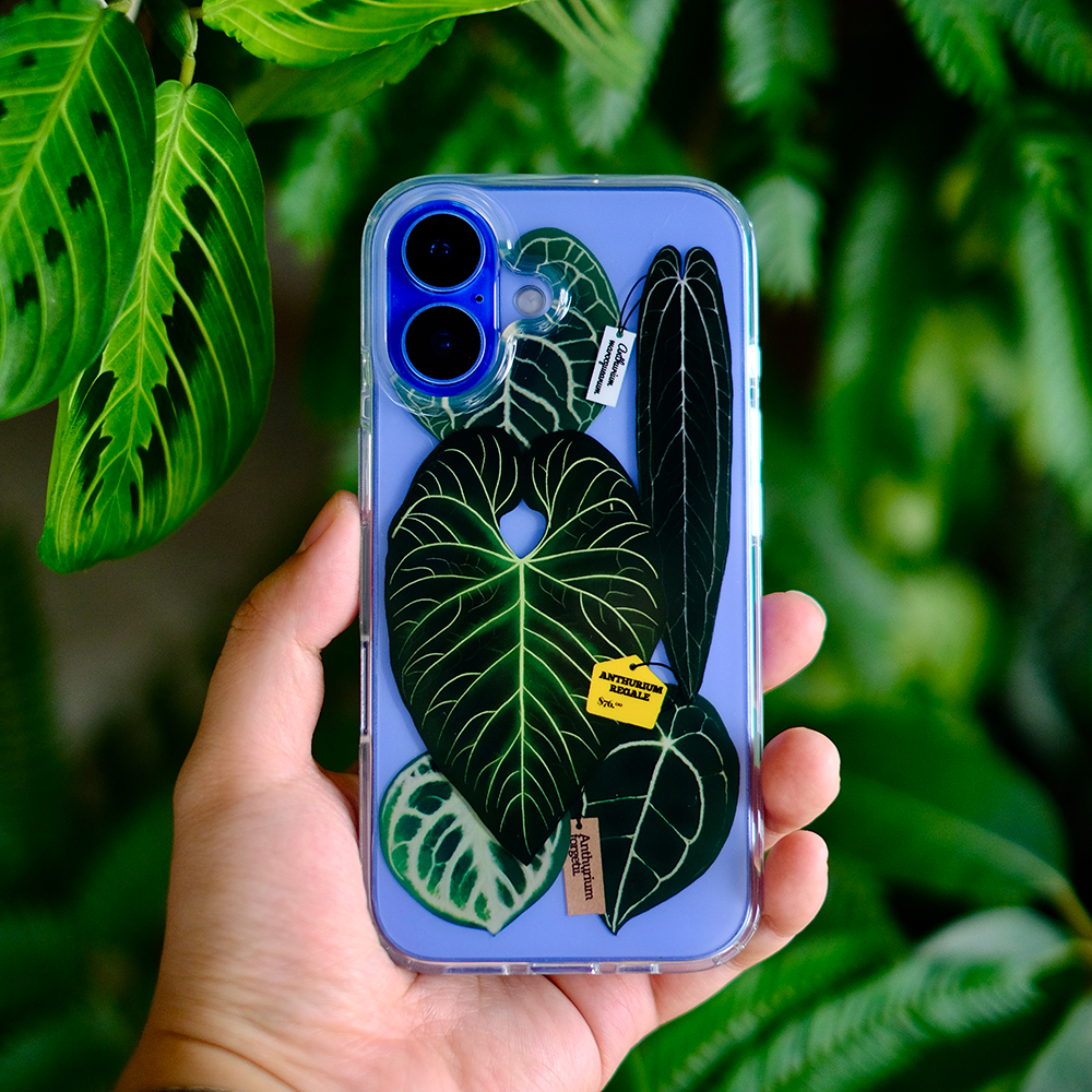 橘星高照 花烛手机壳热带植物原创周边透明手机壳适用苹果iPhone16ProMax新款小众高级感ins风森系全包软壳