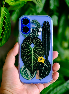 橘星高照 花烛手机壳热带植物原创周边透明手机壳适用苹果iPhone16ProMax新款小众高级感ins风森系全包软壳