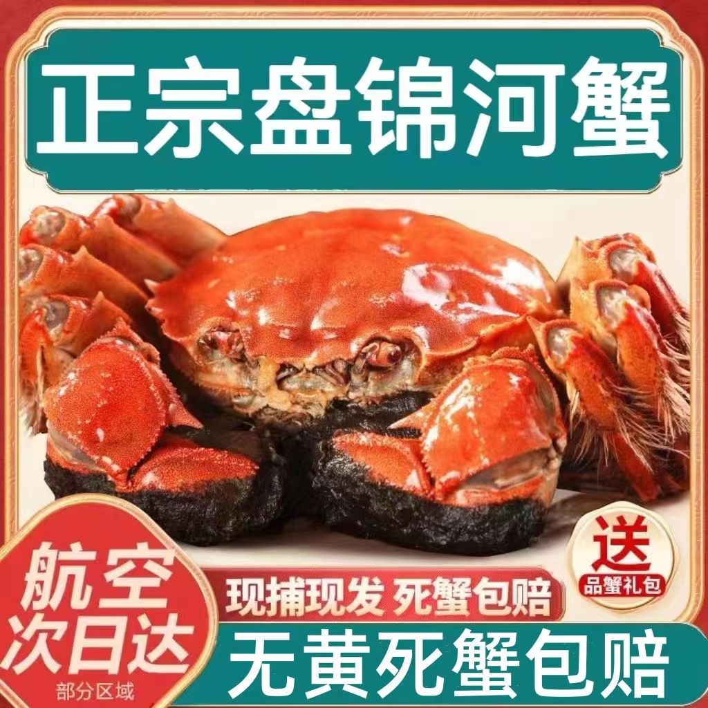 【活蟹】 盘锦河蟹鲜活稻田蟹大大闸蟹