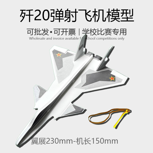 歼20泡沫弹射飞机飞机模型滑翔机拼装航模制作diy玩具比赛战斗机