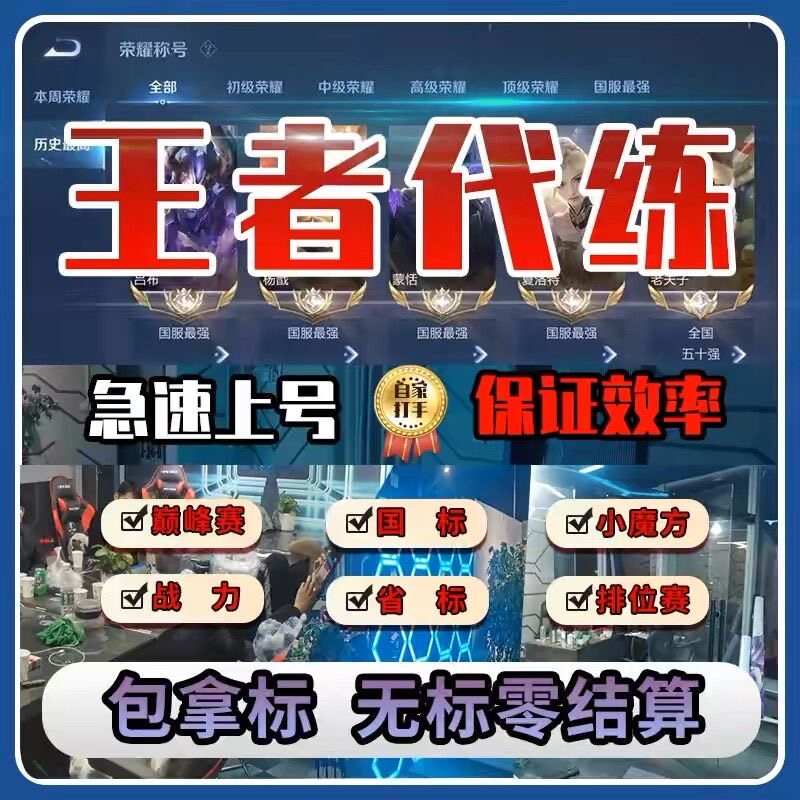 王者荣耀代打代练排位战力巅峰赛省标金标大小国标陪玩带上分车队图片