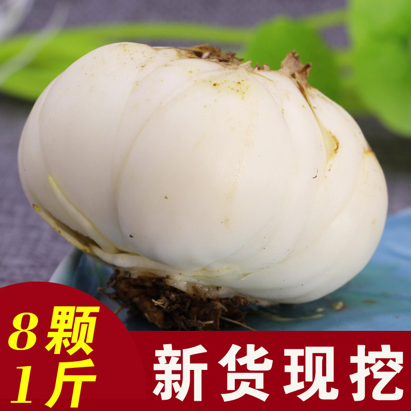 包邮一斤8颗兰州新鲜百合食用甜百合农家自产百合非特级百合干