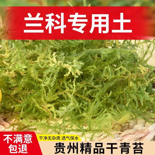 百宝园艺干青苔植料买就送玉肥