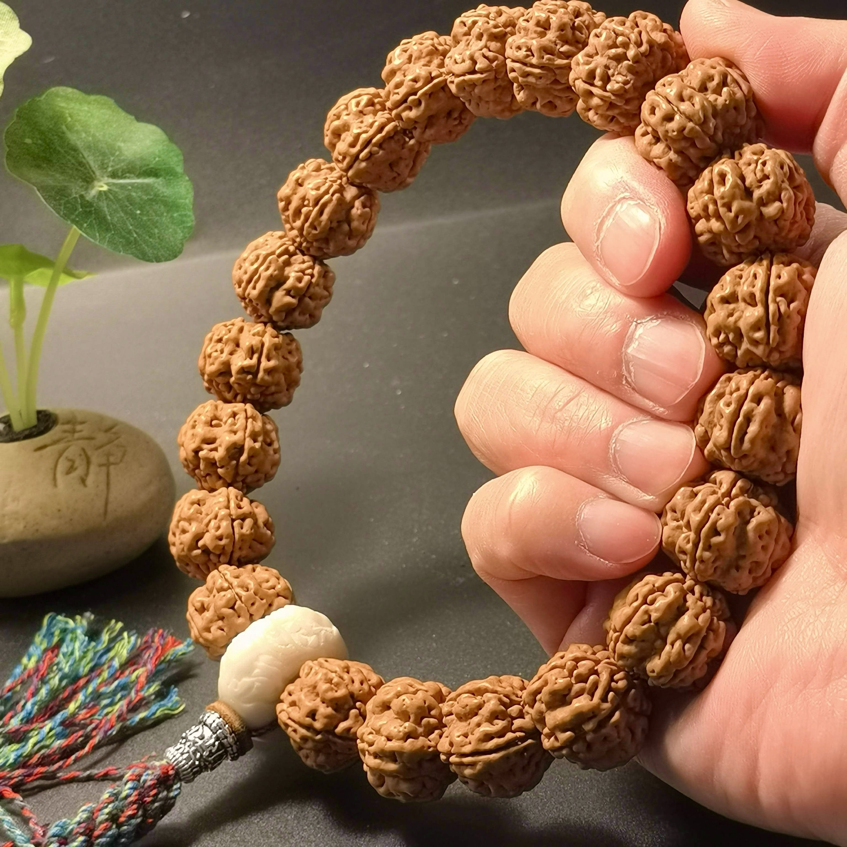 精品原生态大小金刚菩提21颗籽手持梅花桩满肉密度高5瓣原皮原色