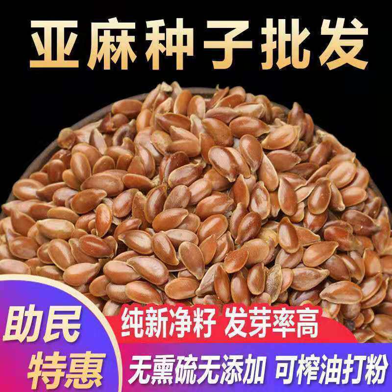 内蒙新亚麻种籽老品种胡麻种子可做亚麻子籽油籽粉蔬菜芽苗菜种孑