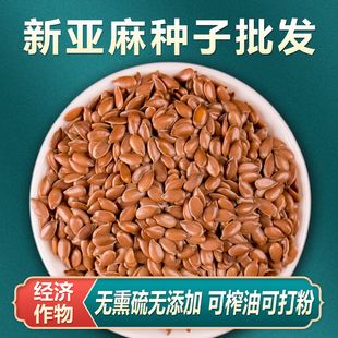 内蒙新亚麻种籽老品种胡麻种子蔬菜芽苗菜种孑可做亚麻子籽油籽粉