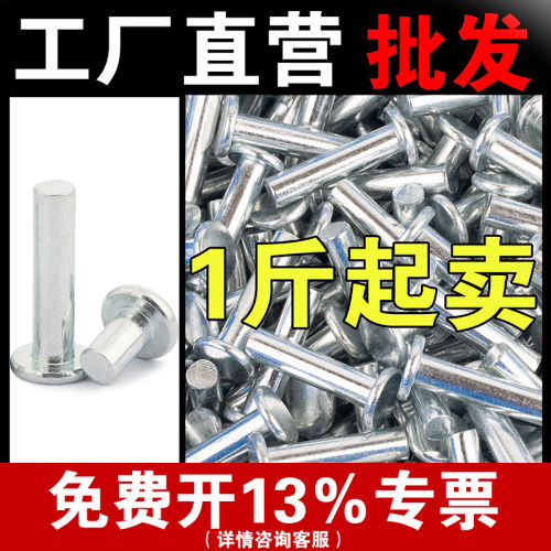 [批发称斤]镀锌平头实心铆钉