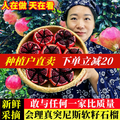 官方推荐|正宗会理软籽石榴