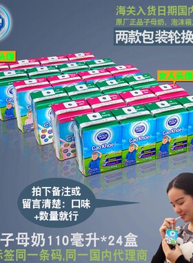 荷兰DUTCH LADY子母奶110ml*24盒 6排包邮学生奶饮品调味奶小孩头