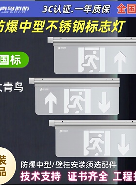 新国标 北大青鸟J-BZ-ACJ(1Ⅱ)-104D1Z-Ex 中型防爆疏散指示灯36V
