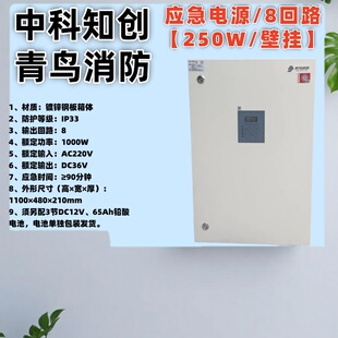 中科知创青鸟消防电源箱 8105/8106应急照明集中控制电源箱 正品