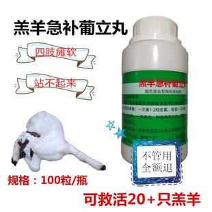 100粒羔羊软瘫灵2-20日龄软骨四肢无力站不起来不吃奶瘫痢强体质