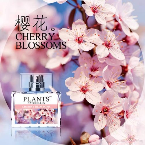 樱花味香水30ml清新自然持久留香