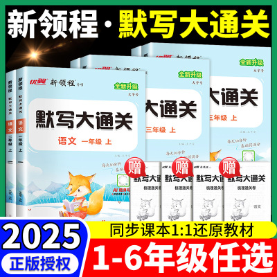 2025新版新领程默写大通关一二年级三四年级五六年级上下册人教版部编版小学生1456语文单元默写同步教材课文同步练习默写能手优翼
