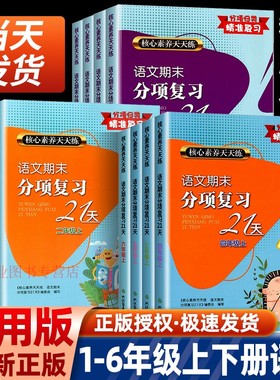 语文期末分项复习21天一年级二年级三四年级五六年级上册下册全套试卷测试卷核心素养天天练小学同步练习册强化巩固期末冲刺100分
