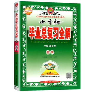2025春 小升初毕业总复习全解 数学 小升初升学资料同步练习课文讲解参考资料辅导学习工具书题模拟测试题训练必刷题培训班辅导书