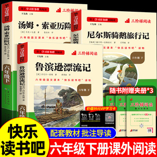 全套3册 鲁滨逊漂流记名校课堂快乐读书吧三阶梯六年级下册汤姆索亚历险记尼尔斯骑鹅旅行记的课外书必读正版原著完整版